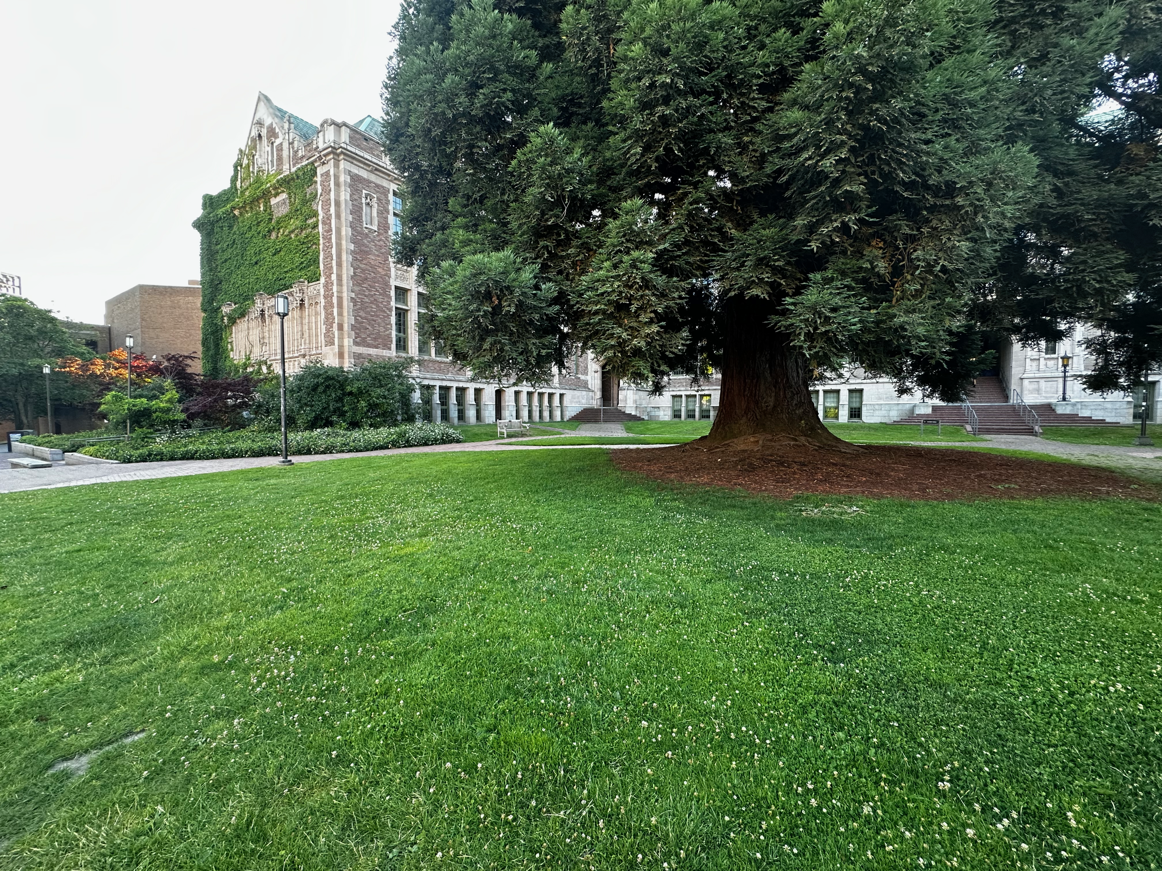 Photo at UW